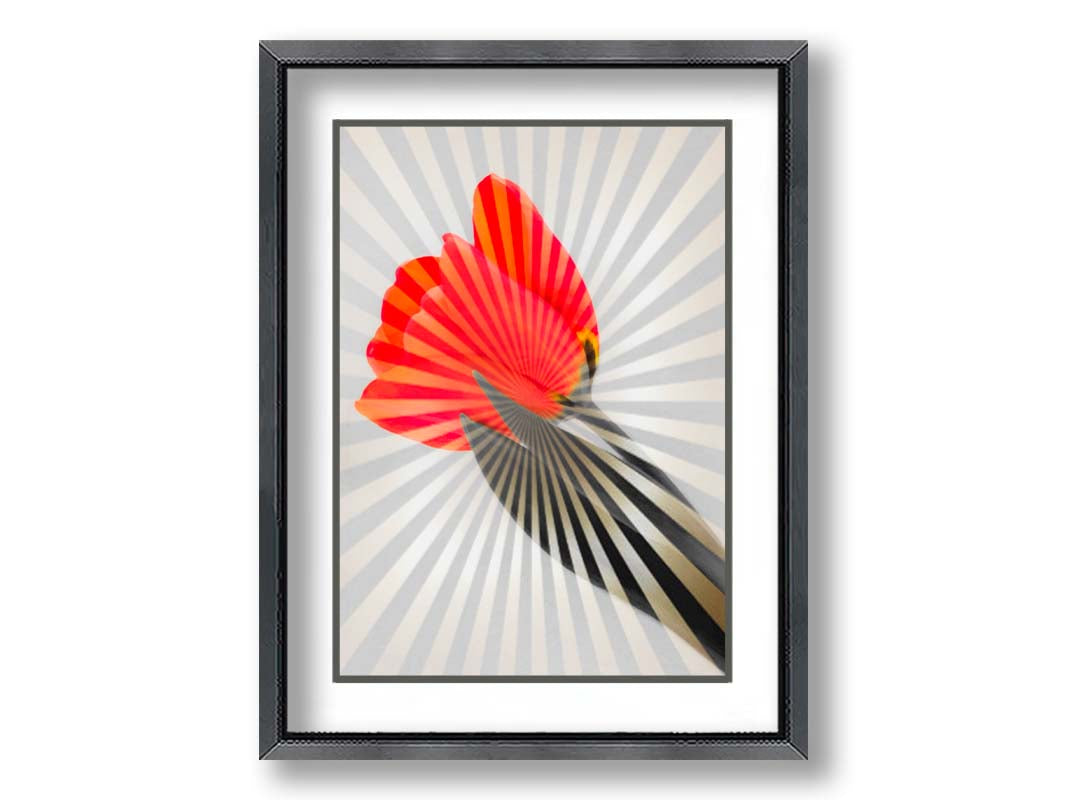 A photo of a tulip, edited in grayscale with selectively colored red petals and overlayed with a radial pattern of lines. Printed on paper, matted, and framed.