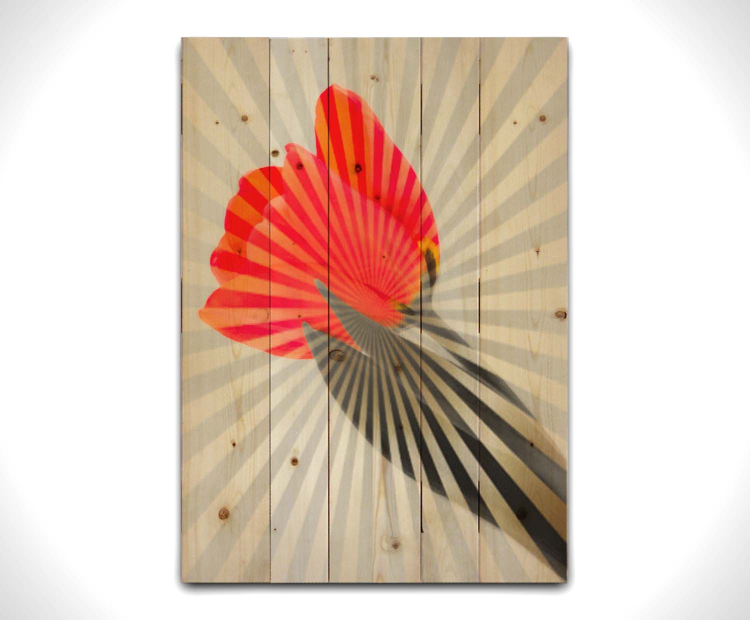 A photo of a tulip, edited in grayscale with selectively colored red petals and overlayed with a radial pattern of lines. Printed on a wood pallet.