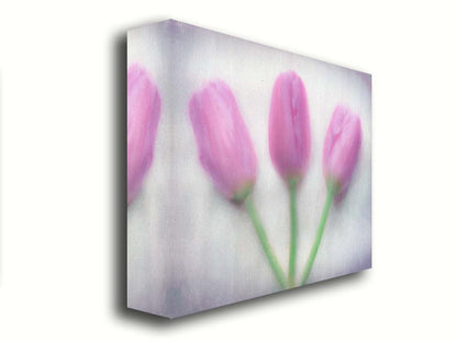 A photo of three pink tulips arranged on a white background. They are edited to have a painterly look. Printed on canvas.