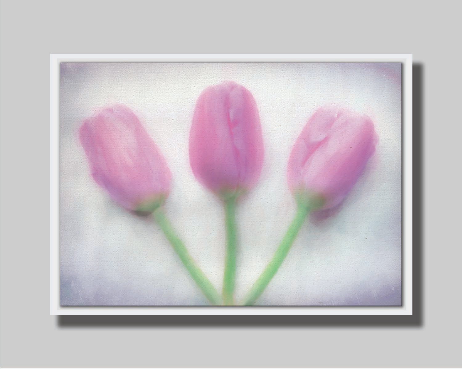 A photo of three pink tulips arranged on a white background. They are edited to have a painterly look. Printed on canvas in a float frame.