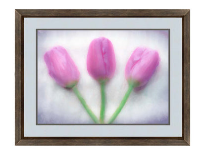 A photo of three pink tulips arranged on a white background. They are edited to have a painterly look. Printed on paper, matted, and framed.