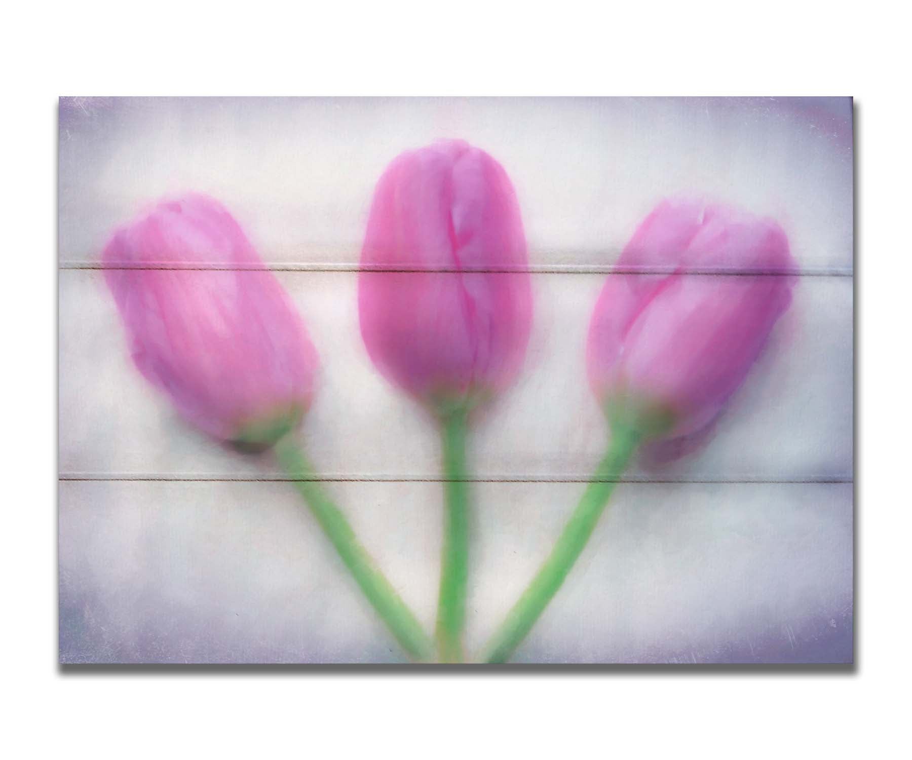 A photo of three pink tulips arranged on a white background. They are edited to have a painterly look. Printed on a box board.