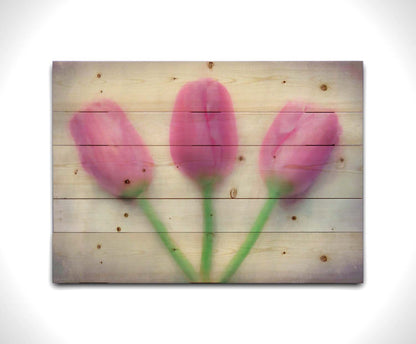 A photo of three pink tulips arranged on a white background. They are edited to have a painterly look. Printed on a wood pallet.