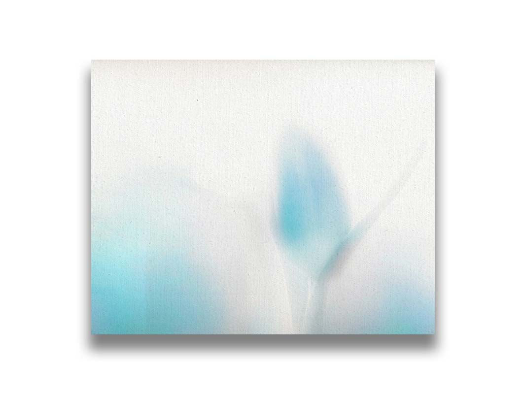 A photograph of tulips in blue, soft and out of focus against a white background to create a gentle, watercolor-like appearance. Printed on canvas.