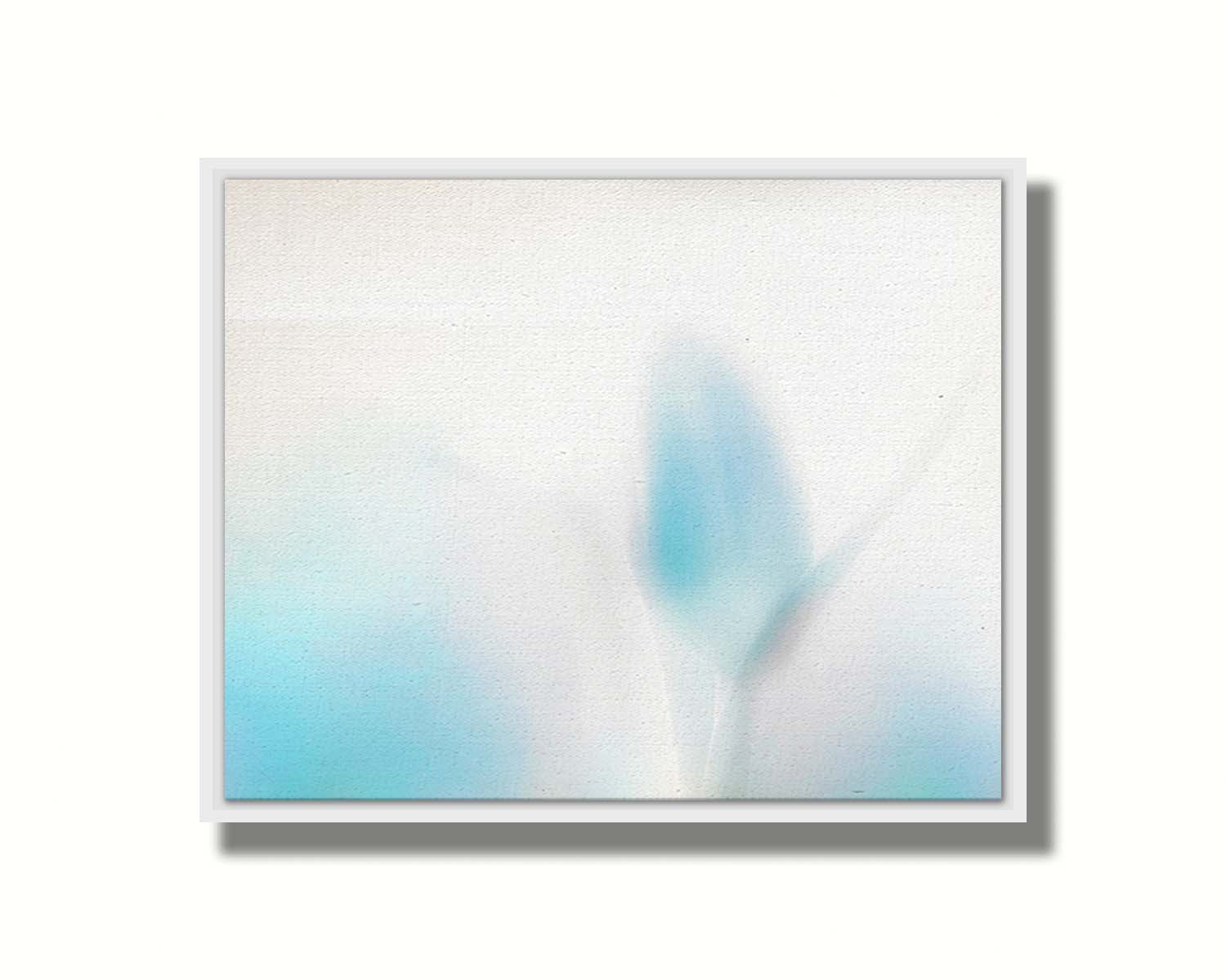 A photograph of tulips in blue, soft and out of focus against a white background to create a gentle, watercolor-like appearance. Printed on canvas in a float frame.