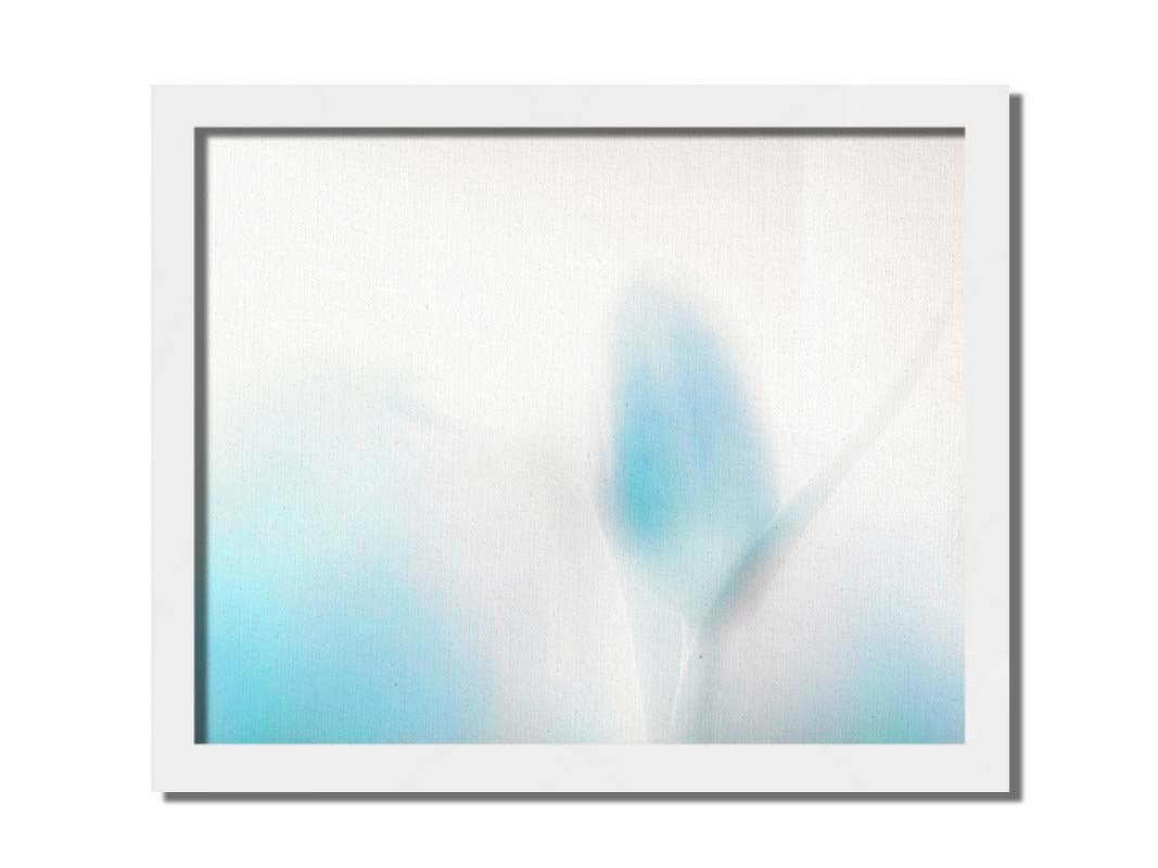 A photograph of tulips in blue, soft and out of focus against a white background to create a gentle, watercolor-like appearance. Printed on canvas and framed.