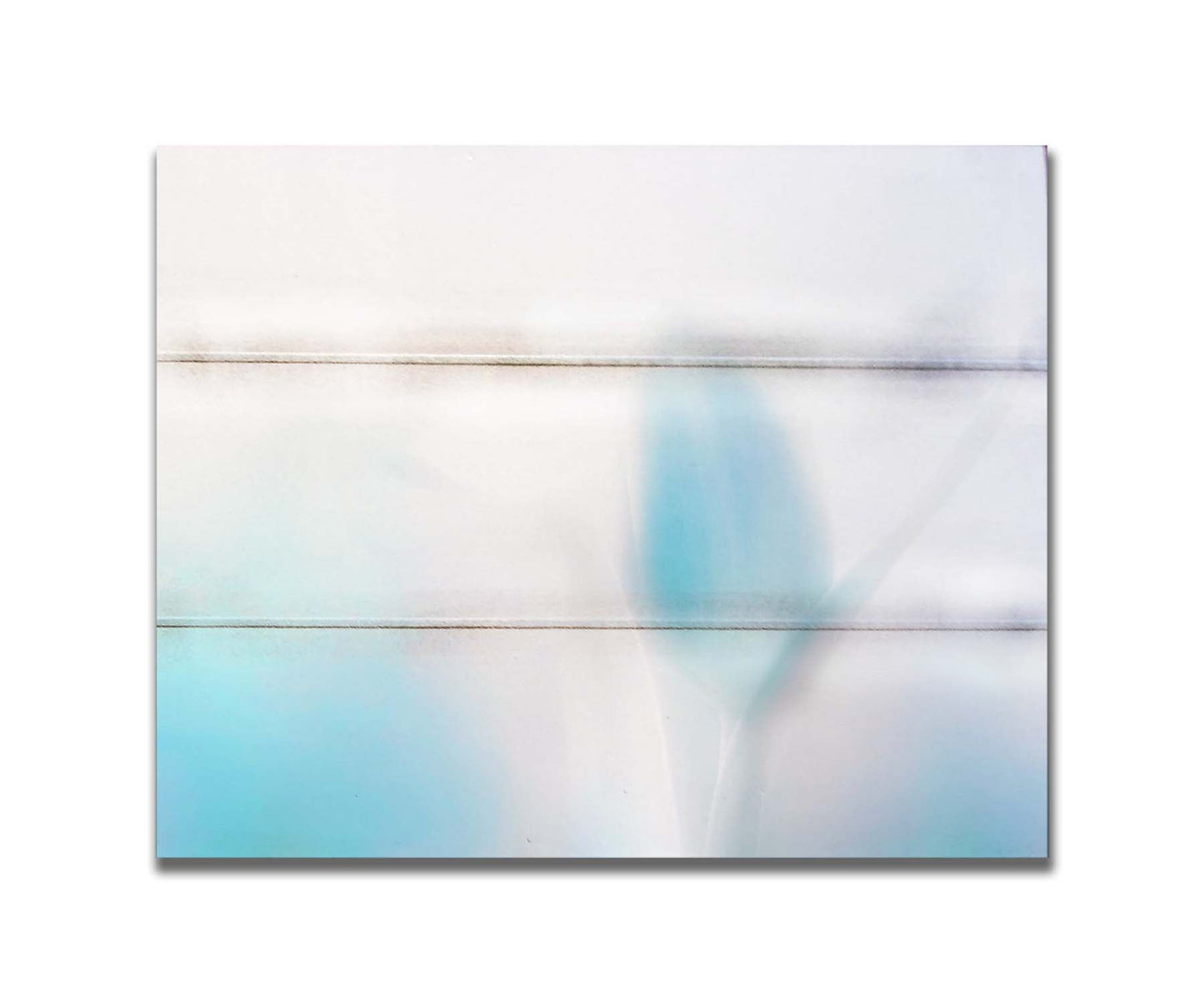 A photograph of tulips in blue, soft and out of focus against a white background to create a gentle, watercolor-like appearance. Printed on a box board.