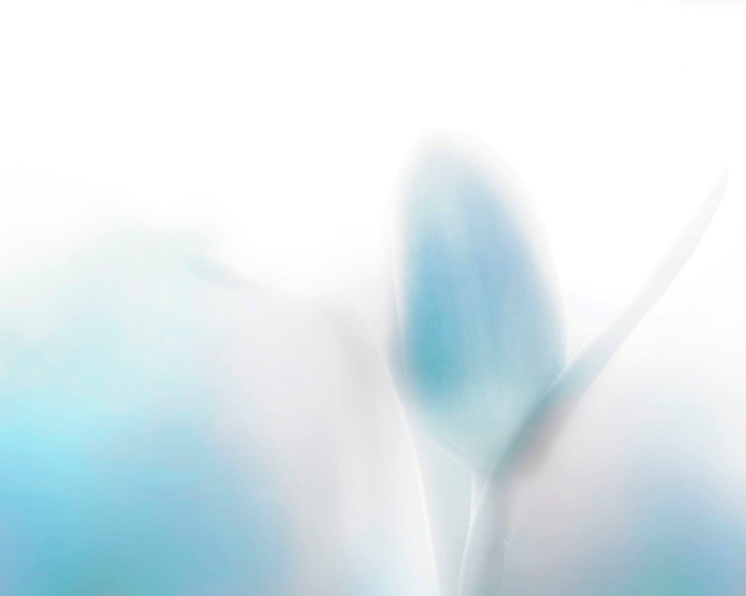 Dragable Image