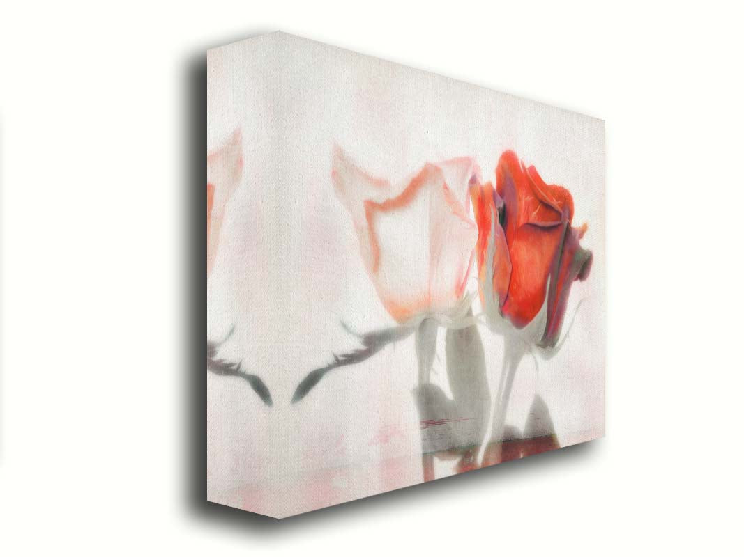 A photo of two roses, one white and one red. The image is desaturated except for the red hues. It is overlayed with texture and edited to be reminiscent of a painting. Printed on canvas.