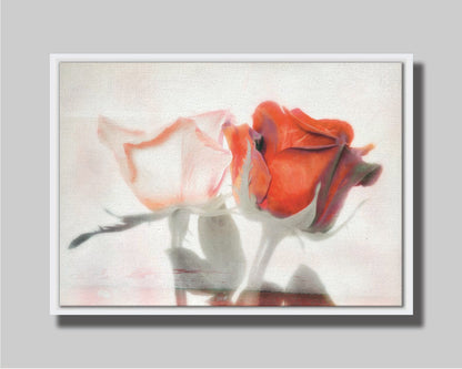 A photo of two roses, one white and one red. The image is desaturated except for the red hues. It is overlayed with texture and edited to be reminiscent of a painting. Printed on canvas in a float frame.