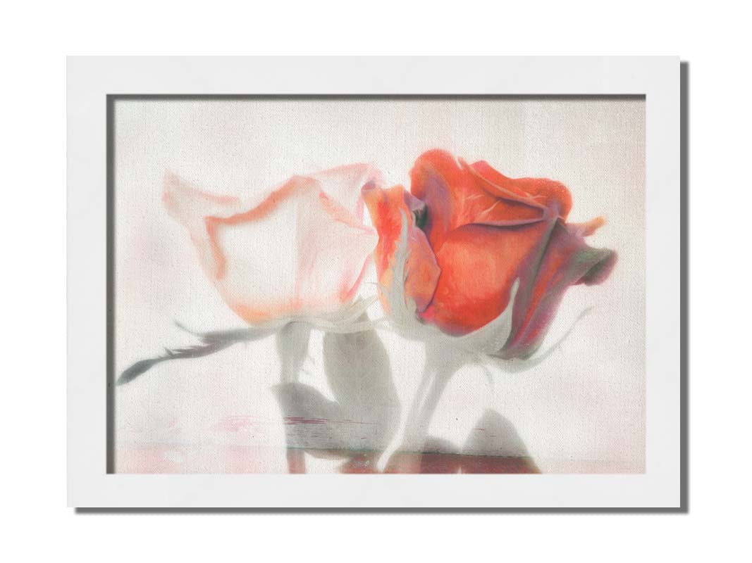 A photo of two roses, one white and one red. The image is desaturated except for the red hues. It is overlayed with texture and edited to be reminiscent of a painting. Printed on canvas and framed.