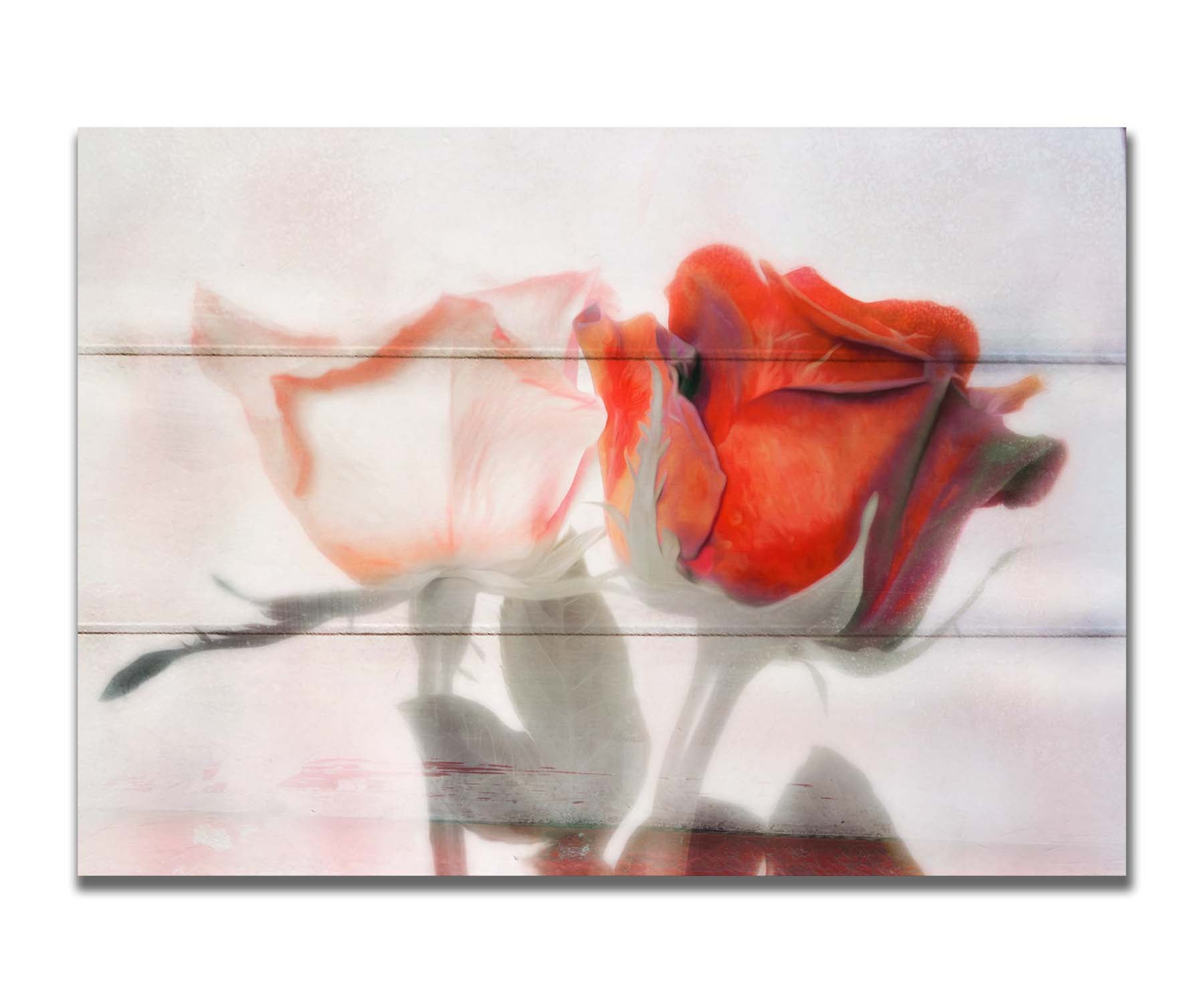 A photo of two roses, one white and one red. The image is desaturated except for the red hues. It is overlayed with texture and edited to be reminiscent of a painting. Printed on a box board.