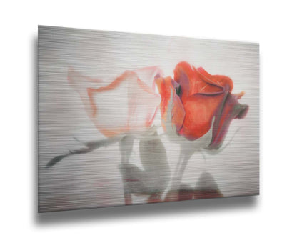 A photo of two roses, one white and one red. The image is desaturated except for the red hues. It is overlayed with texture and edited to be reminiscent of a painting. Printed on metal.