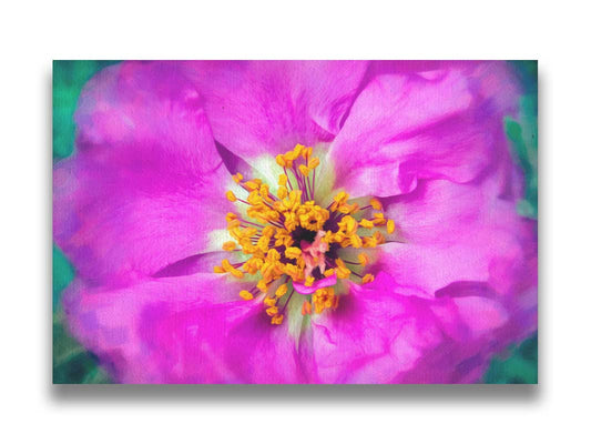 A closeup photo of a pink flower, edited and textured reminiscent of painting. Printed on canvas.