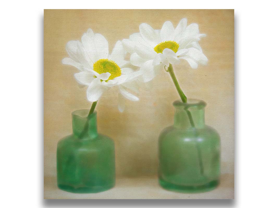 A photo of two white flowers in green glass jars, sitting against one another against a tan backdrop. Printed on canvas.