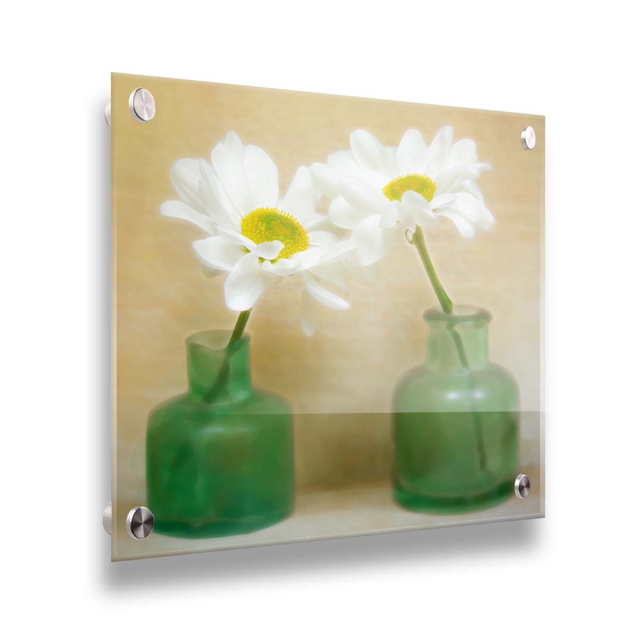 A photo of two white flowers in green glass jars, sitting against one another against a tan backdrop. Printed on acrylic.