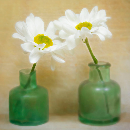 A photo of two white flowers in green glass jars, sitting against one another against a tan backdrop.