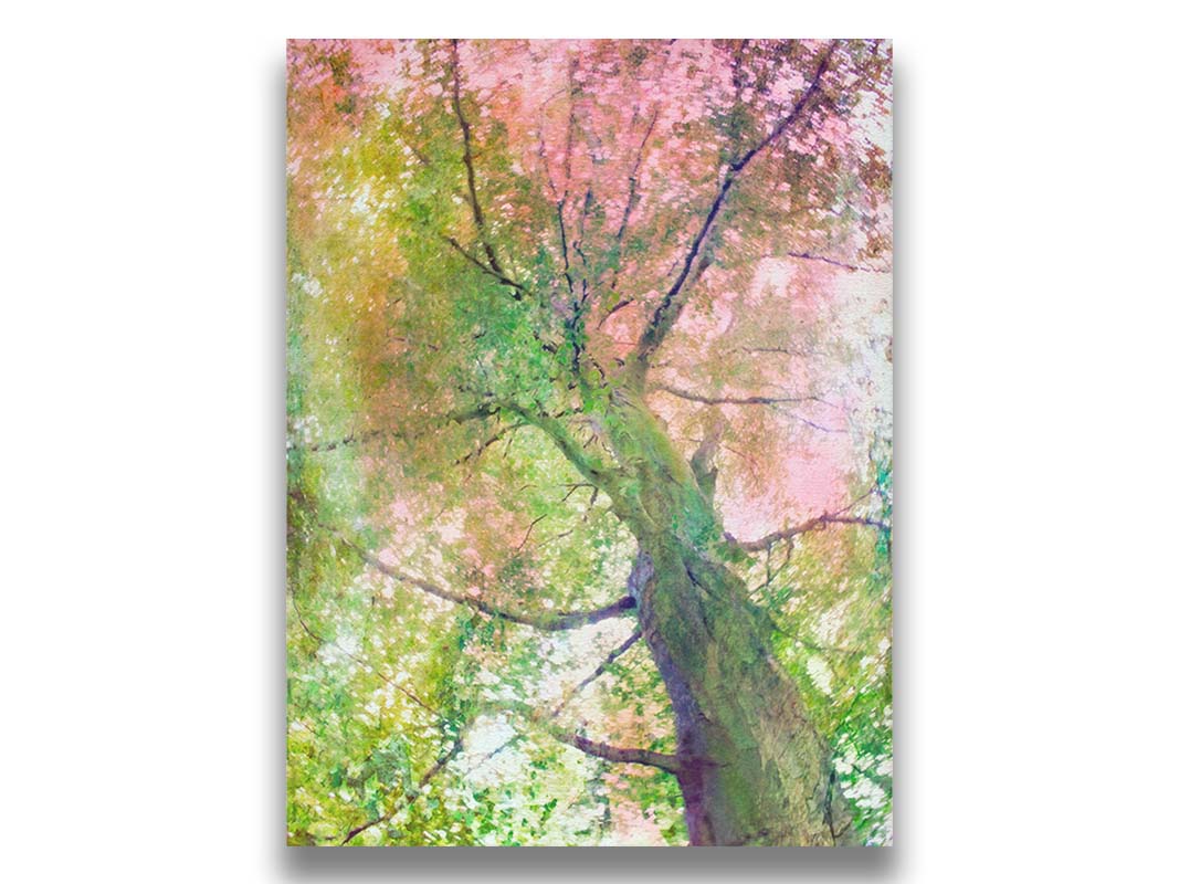 A photo looking up at a tree, edited with layers of texture in green and pink. Printed on canvas.