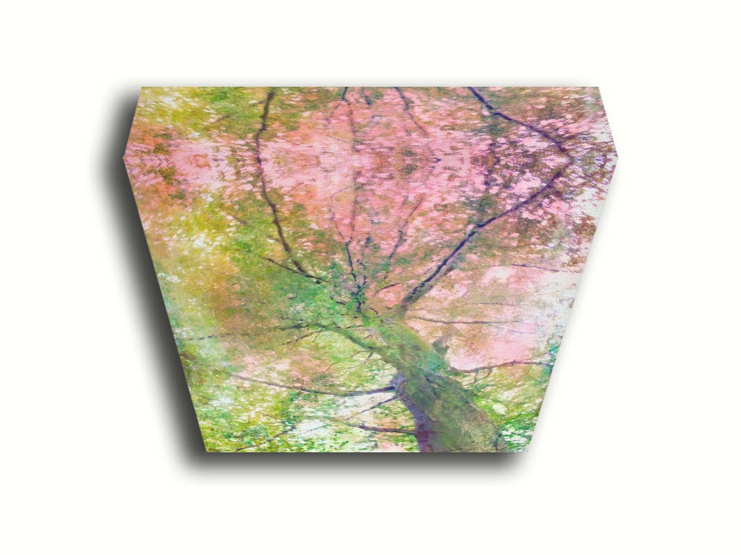 A photo looking up at a tree, edited with layers of texture in green and pink. Printed on canvas.