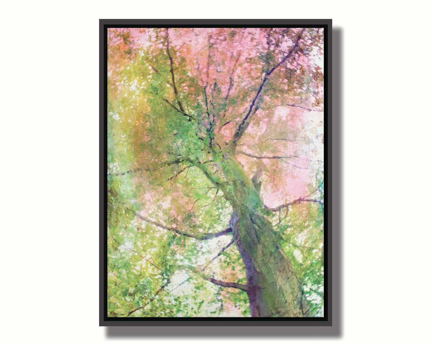 A photo looking up at a tree, edited with layers of texture in green and pink. Printed on canvas in a float frame.