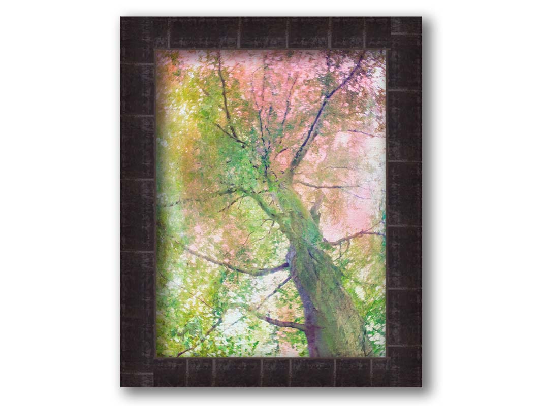 A photo looking up at a tree, edited with layers of texture in green and pink. Printed on canvas and framed.