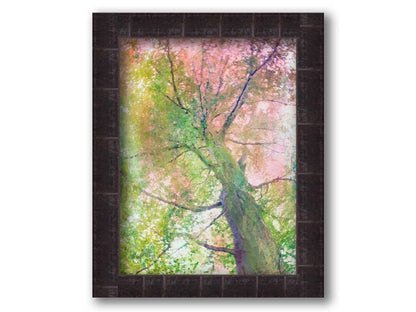 A photo looking up at a tree, edited with layers of texture in green and pink. Printed on canvas and framed.