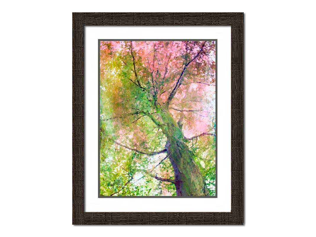 A photo looking up at a tree, edited with layers of texture in green and pink. Printed on paper, matted, and framed.