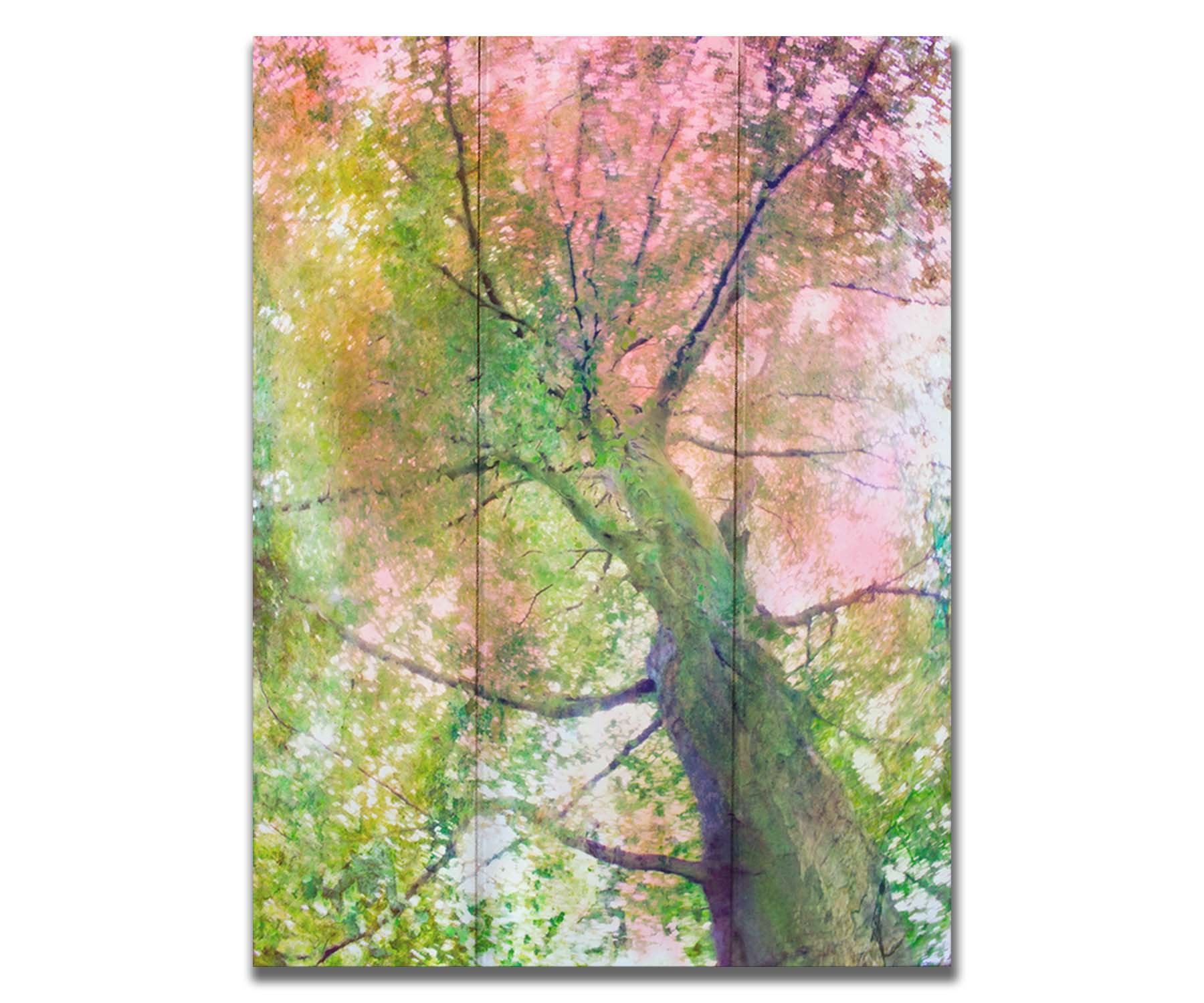 A photo looking up at a tree, edited with layers of texture in green and pink. Printed on a box board.