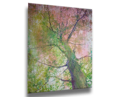 A photo looking up at a tree, edited with layers of texture in green and pink. Printed on metal.