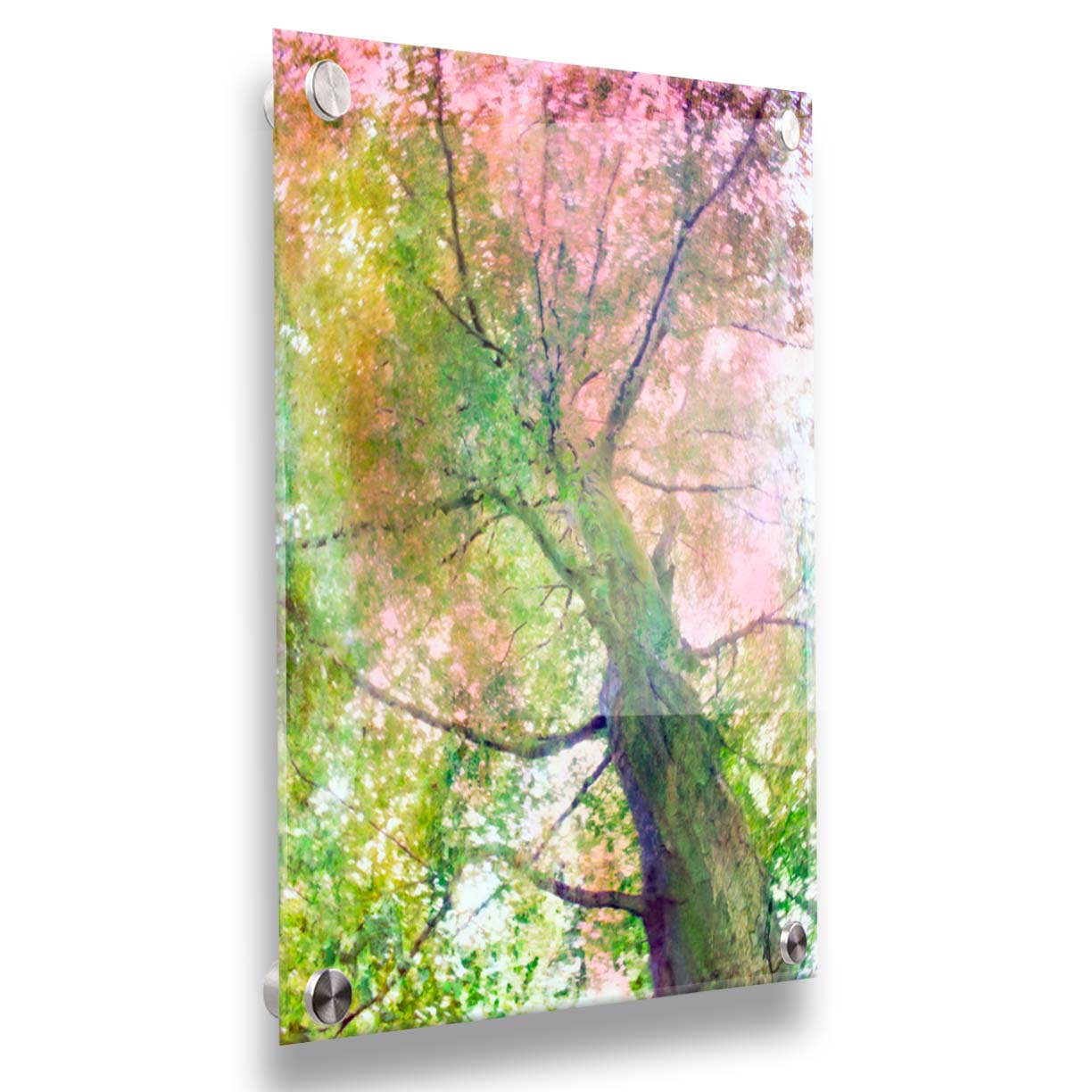 A photo looking up at a tree, edited with layers of texture in green and pink. Printed on acrylic.