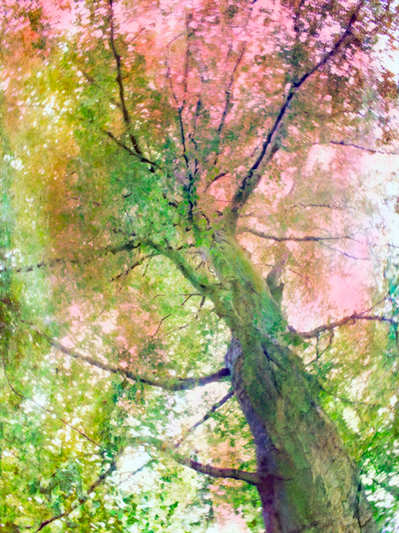 Dragable Image