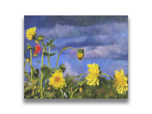 A photo of a collection of yellow flowers against a cloudy purple and blue sky. It is edited to have a painterly appearance. Printed on canvas.