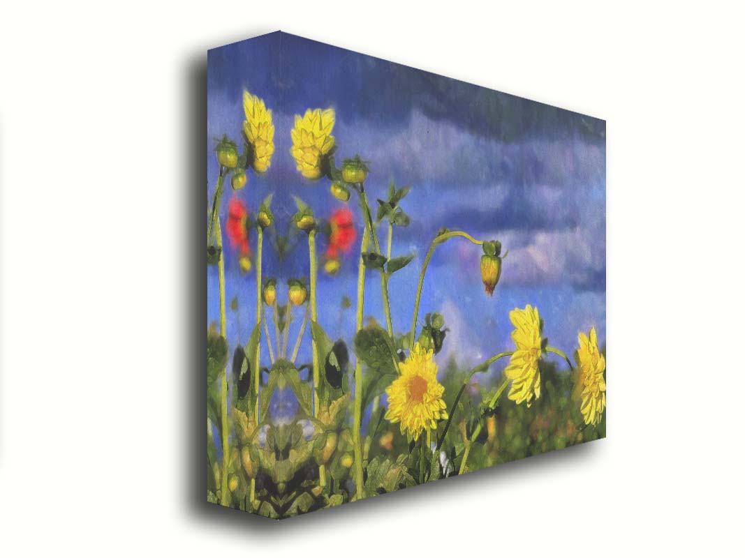 A photo of a collection of yellow flowers against a cloudy purple and blue sky. It is edited to have a painterly appearance. Printed on canvas.