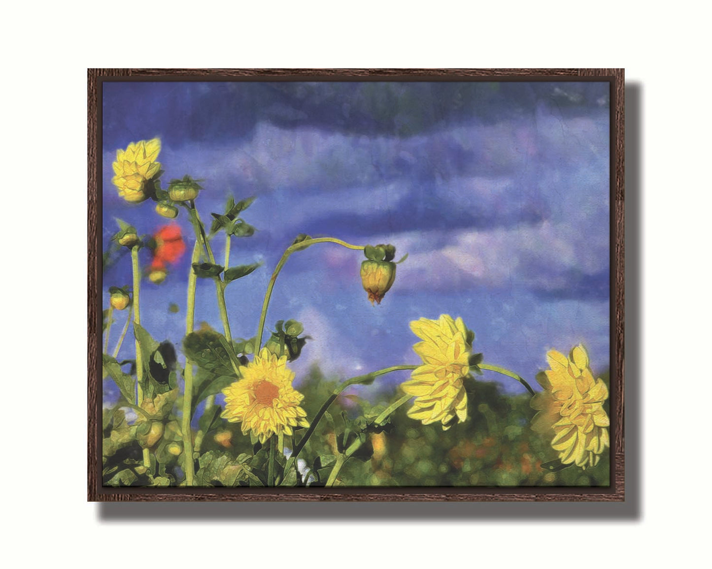 A photo of a collection of yellow flowers against a cloudy purple and blue sky. It is edited to have a painterly appearance. Printed on canvas in a float frame.