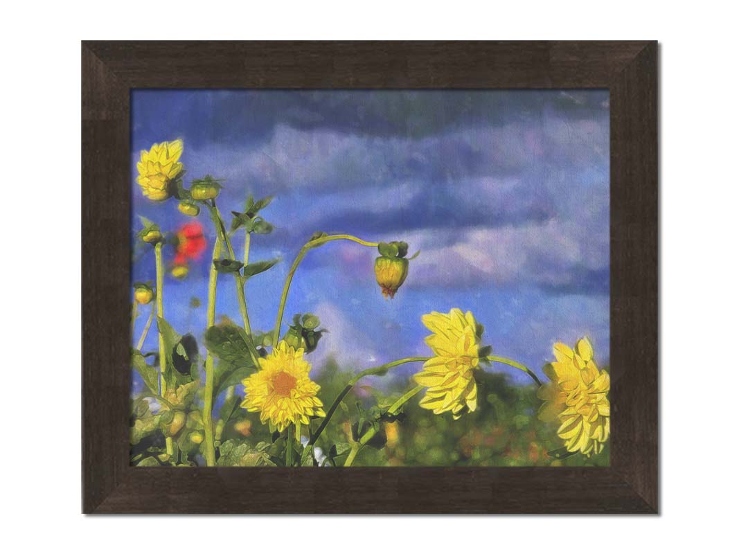 A photo of a collection of yellow flowers against a cloudy purple and blue sky. It is edited to have a painterly appearance. Printed on canvas and framed.