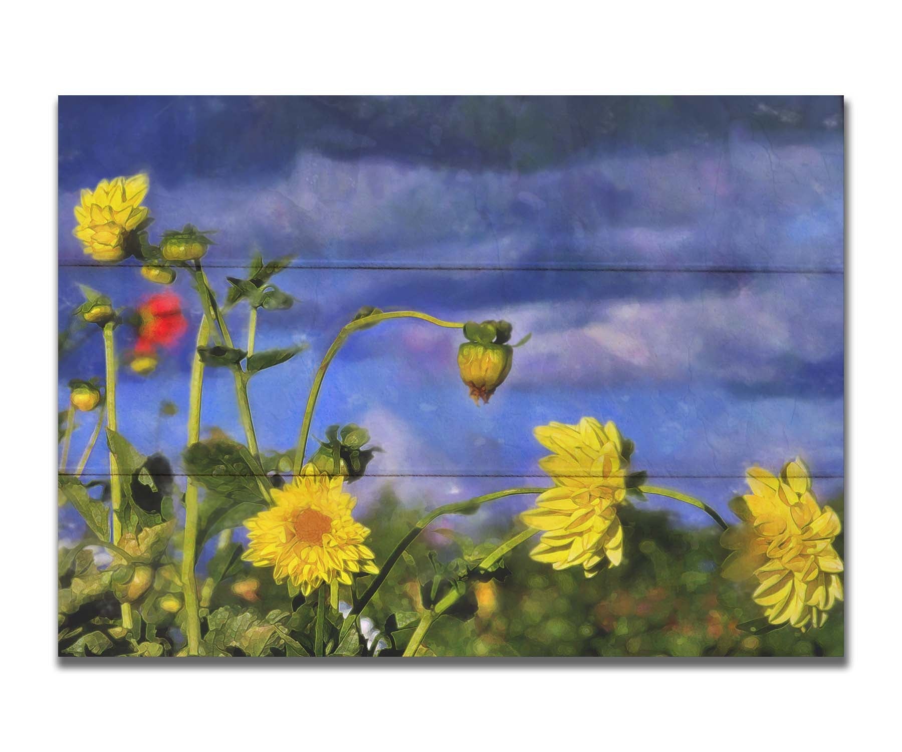 A photo of a collection of yellow flowers against a cloudy purple and blue sky. It is edited to have a painterly appearance. Printed on a box board.