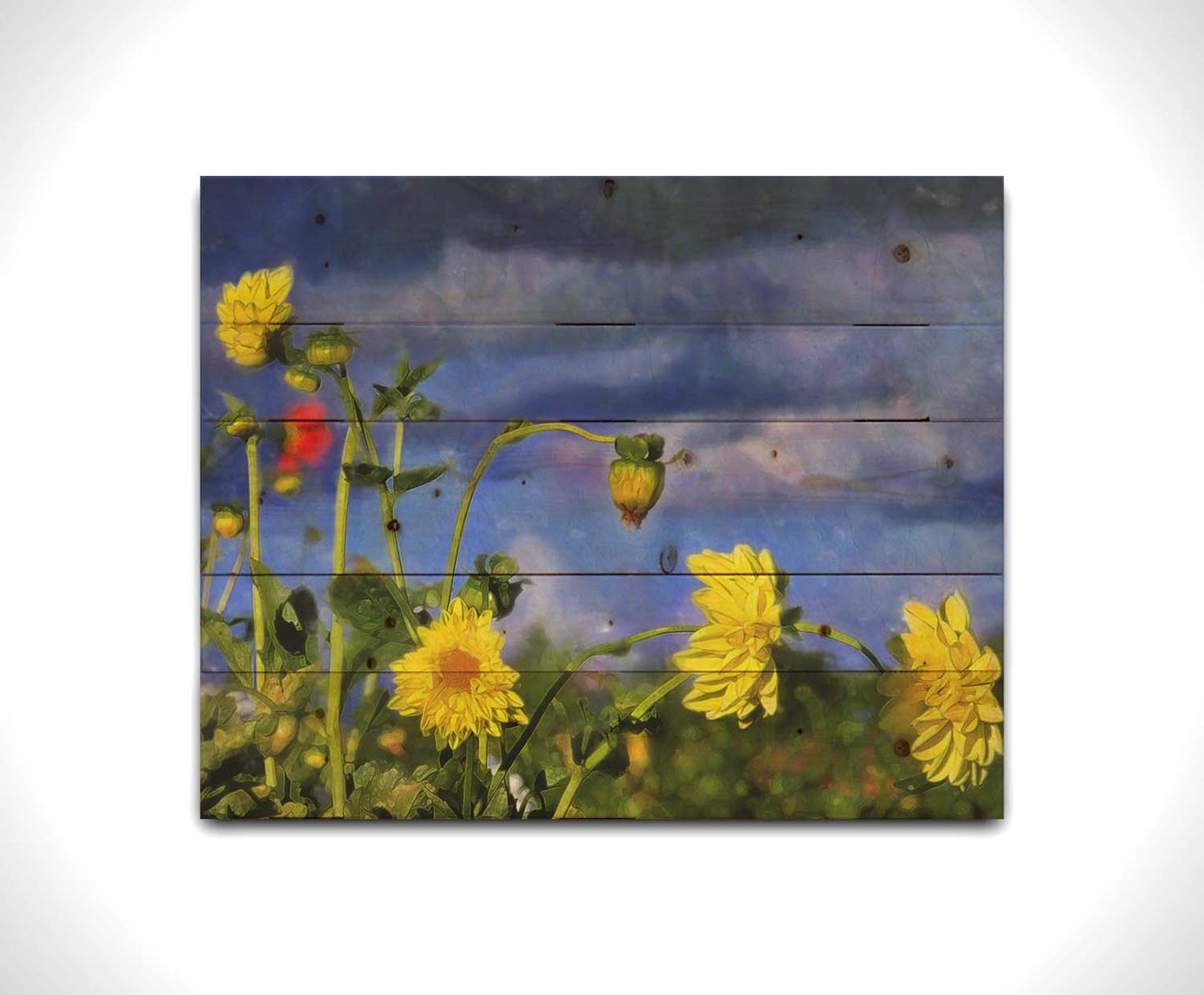 A photo of a collection of yellow flowers against a cloudy purple and blue sky. It is edited to have a painterly appearance. Printed on a wood pallet.