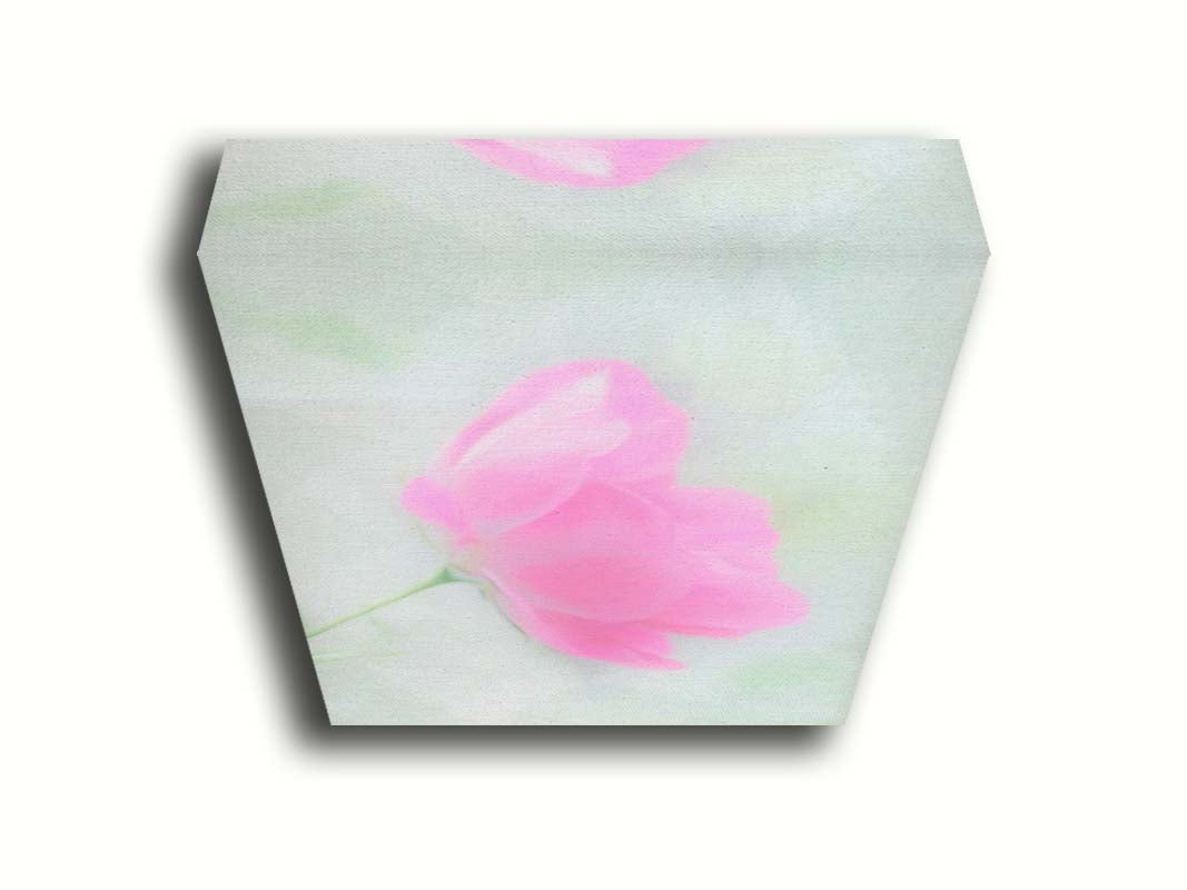 A closeup photo of a single pink poppy flower, edited to have a soft painterly appearance. Printed on canvas.