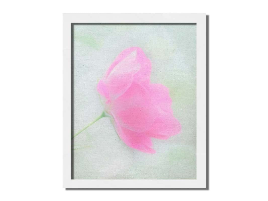 A closeup photo of a single pink poppy flower, edited to have a soft painterly appearance. Printed on canvas and framed.