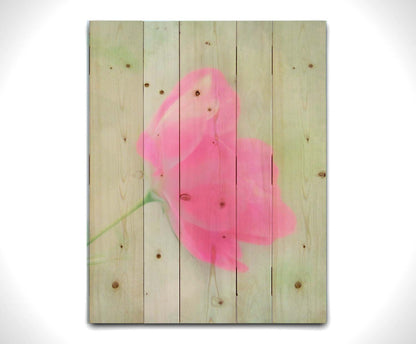 A closeup photo of a single pink poppy flower, edited to have a soft painterly appearance. Printed on a wood pallet.