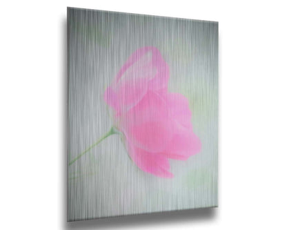 A closeup photo of a single pink poppy flower, edited to have a soft painterly appearance. Printed on metal.