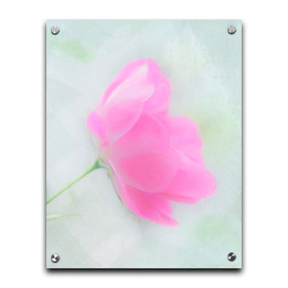 A closeup photo of a single pink poppy flower, edited to have a soft painterly appearance. Printed on acrylic.