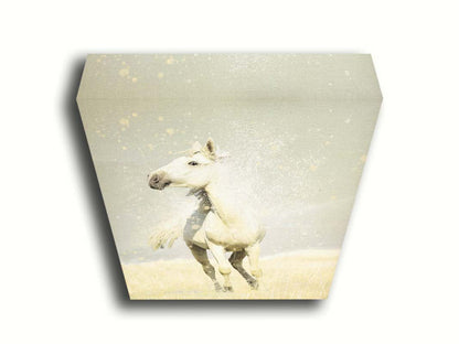 A photograph of a white horse in a pale yellow field of grass, backdropped with a gray sky. Printed on canvas.