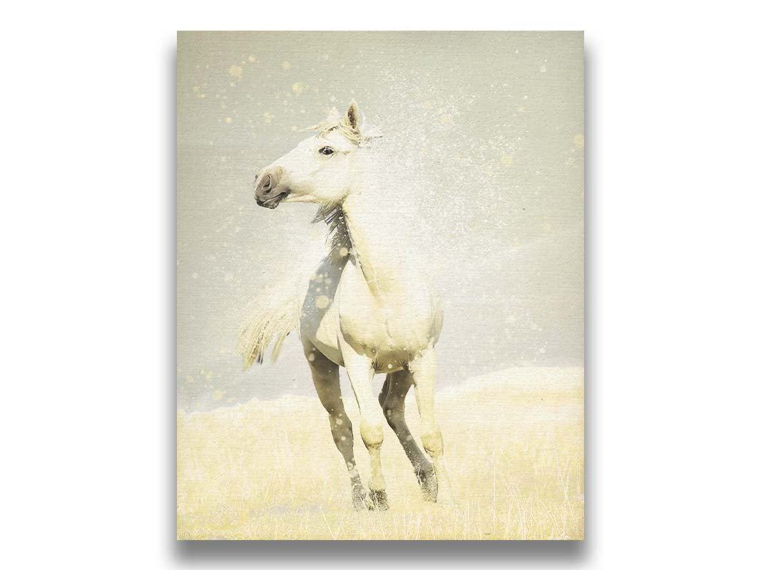 A photograph of a white horse in a pale yellow field of grass, backdropped with a gray sky. Printed on canvas.