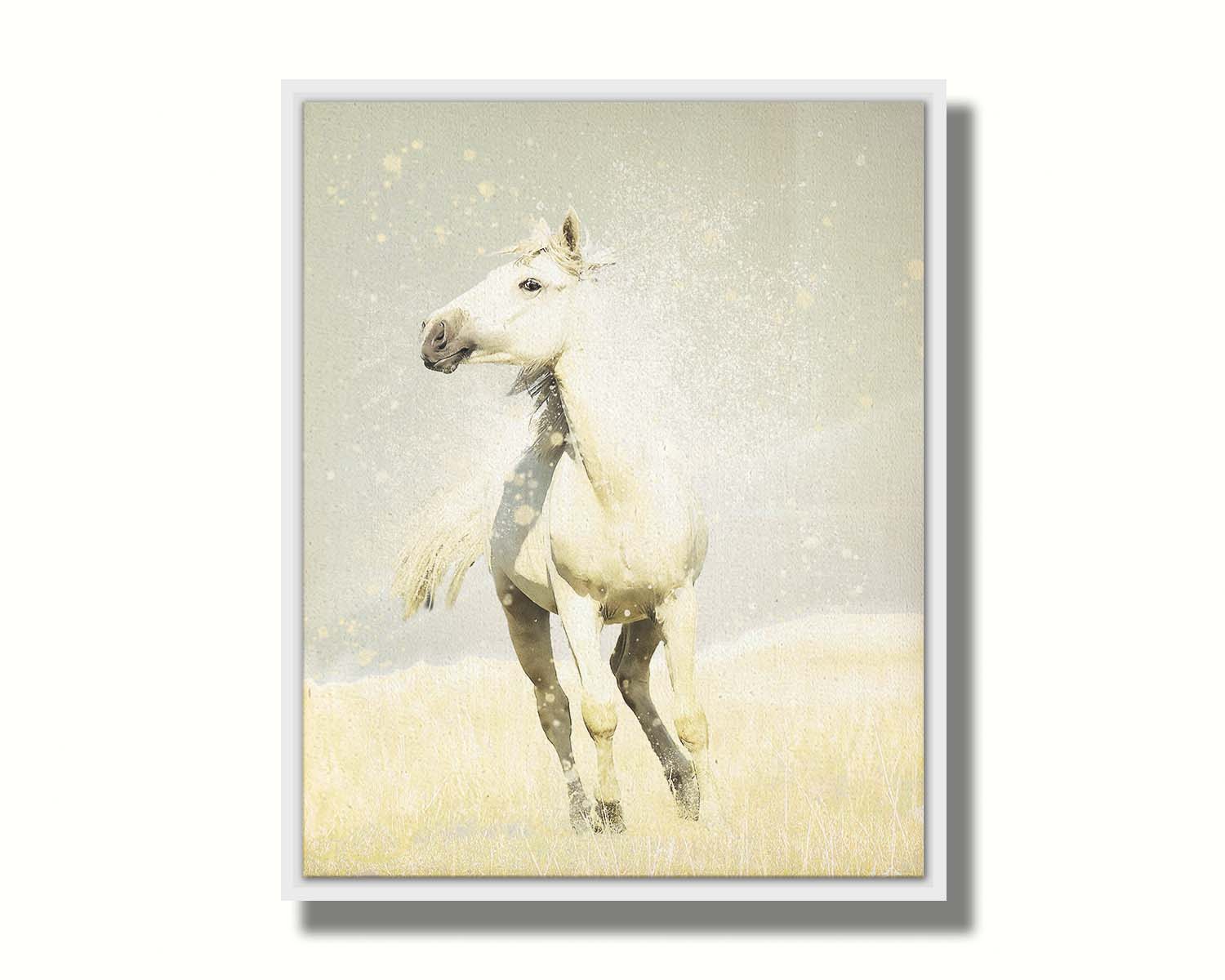 A photograph of a white horse in a pale yellow field of grass, backdropped with a gray sky. Printed on canvas in a float frame.