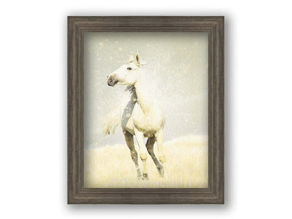 A photograph of a white horse in a pale yellow field of grass, backdropped with a gray sky. Printed on canvas and framed.