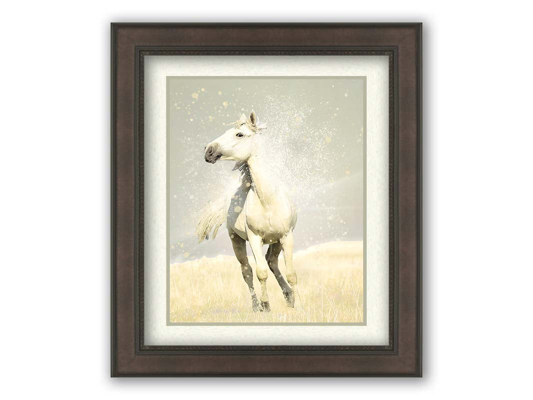 A photograph of a white horse in a pale yellow field of grass, backdropped with a gray sky. Printed on paper, matted, and framed.