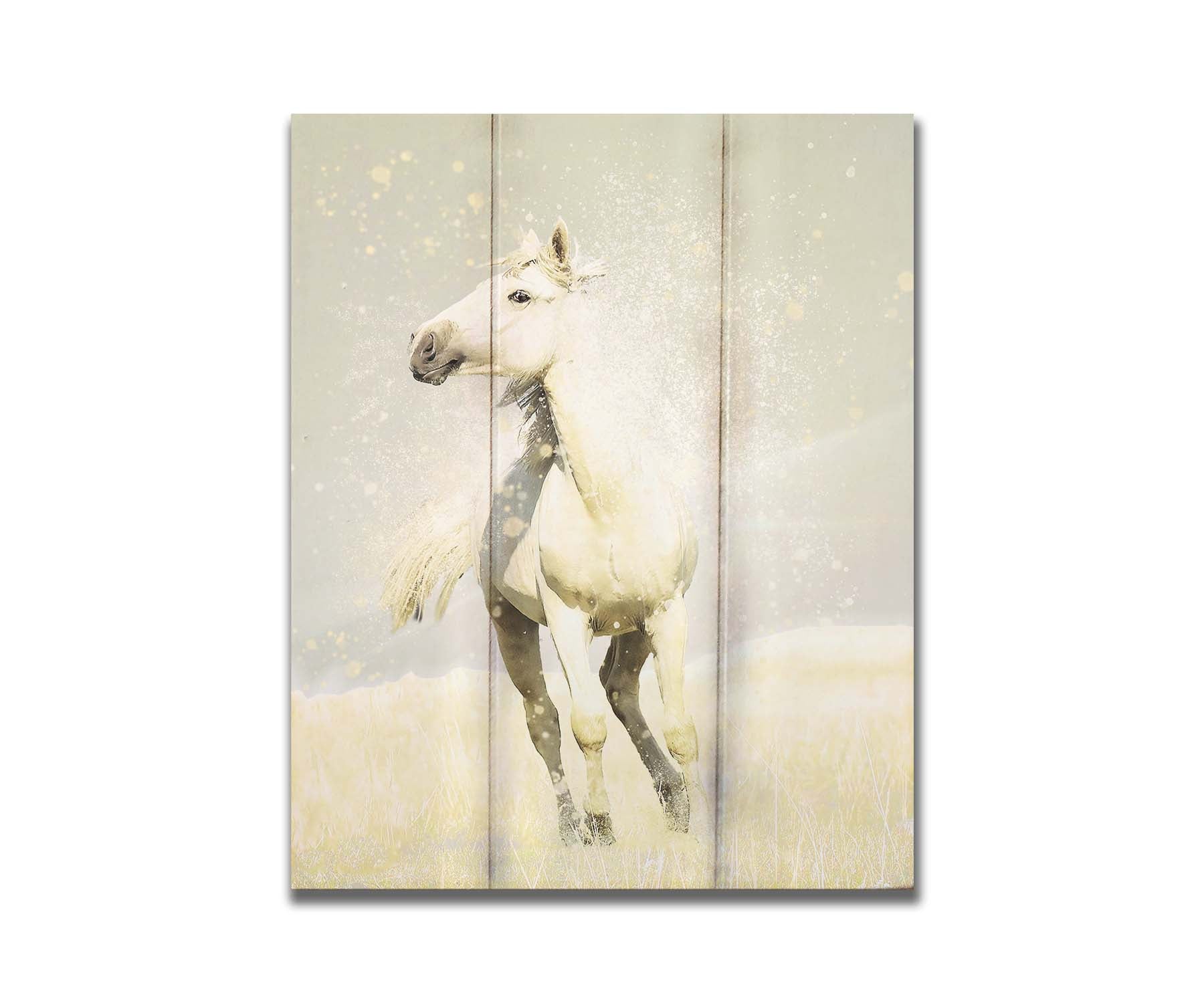 A photograph of a white horse in a pale yellow field of grass, backdropped with a gray sky. Printed on a box board.