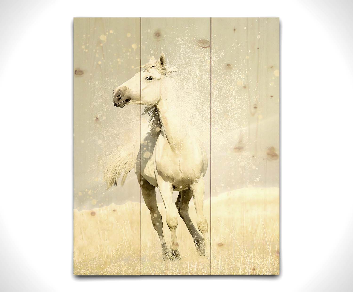 A photograph of a white horse in a pale yellow field of grass, backdropped with a gray sky. Printed on a wood pallet.