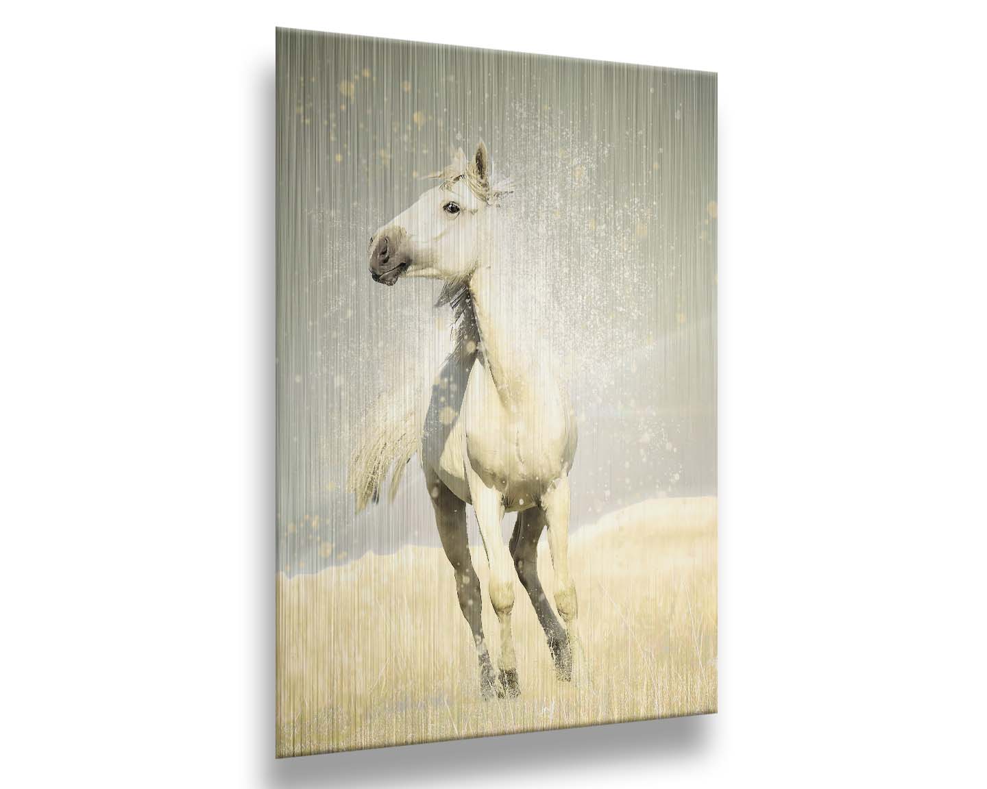 A photograph of a white horse in a pale yellow field of grass, backdropped with a gray sky. Printed on metal.